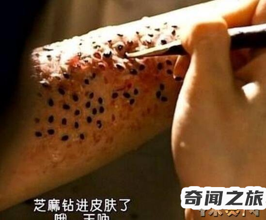 十宗罪毛孔粗大的女孩用芝麻泡澡（小女孩黑芝麻毛孔图片）(2)_