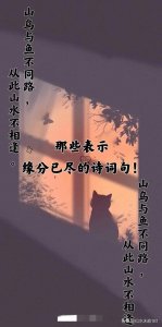 ​表示缘分已尽的诗句