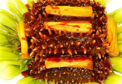 ​海参与萝卜同食好不好
