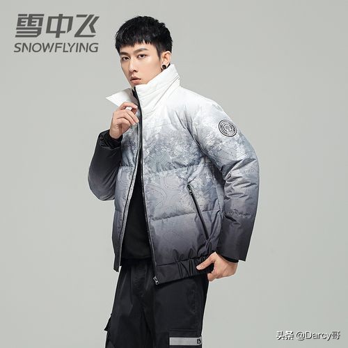 鸭鸭羽绒服是什么档次的牌子（带你全面了解8大国产品牌）