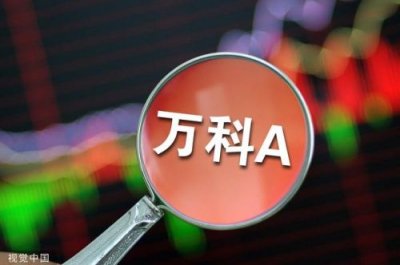 ​万科A获利能力分析(格力电器获利能力分析)