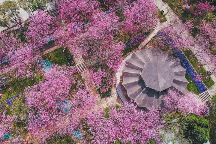 四季月份怎么区分（一年四季的划分方法介绍）