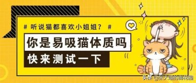 ​猫知道人类是男女吗（猫能分辨出人的性别吗）
