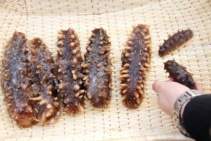 年货送什么好(一文了解最适合春节送的7件年货)