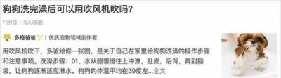 ​狗狗洗澡一定要吹干吗