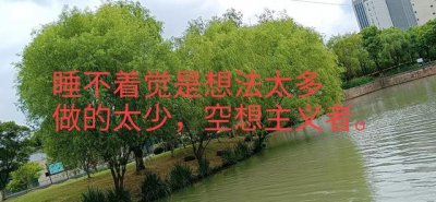 ​晚上睡不着觉是什么原因(老年人晚上睡不着觉是什么原因)