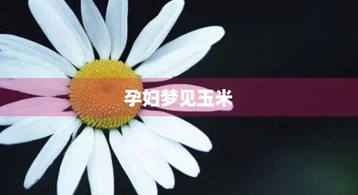 孕妇梦见玉米