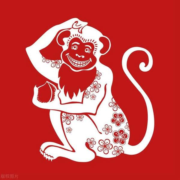 什么生肖领导能力强(天生领导才能强大的生肖)
