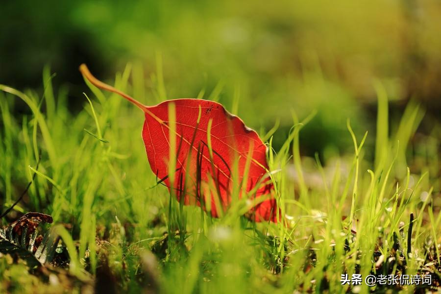 李白诗风格是什么(一文了解李白的诗歌特点)