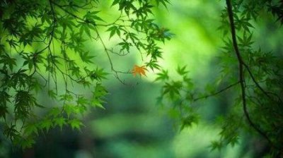 ​秋天注意事项(秋季饮食需要注意什么)