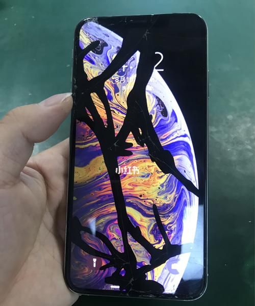 XS是什么意思啊