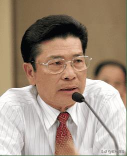 中国最大的几大家族(中国十大家族)