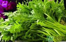 蓬花菜可以生吃吗?蓬花菜能生吃吗? 蓬花菜可以生吃吗?蓬花菜能生吃吗?