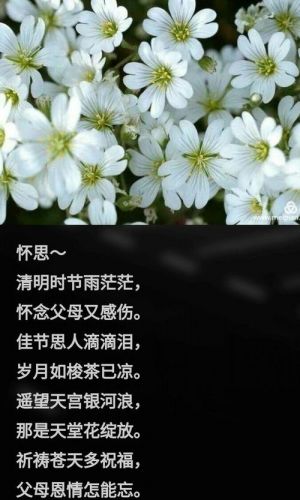 一句话思念天堂的母亲诗句(一句话思念天堂的母亲文案)-第1张图片-