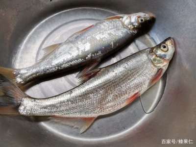 ​翘嘴鱼多少钱一斤市场价（翘嘴鱼为什么这么贵）