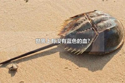 ​世界上有没有蓝色的血？ 中国有蓝血人吗