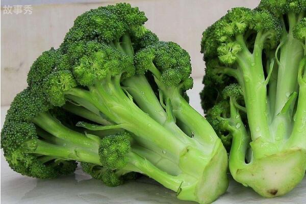 网络图片(侵删)