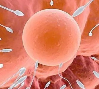 ​女性在游泳池会怀孕吗(女人去游泳池游泳意外怀孕)