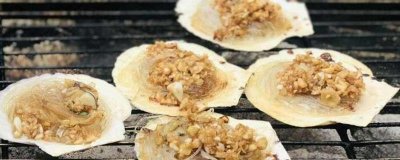 ​扇贝的营养价值及营养成分