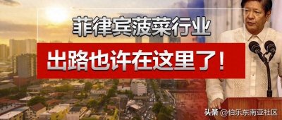 ​菲律宾博彩现状,从历史分析本次禁令背后的危机和机遇