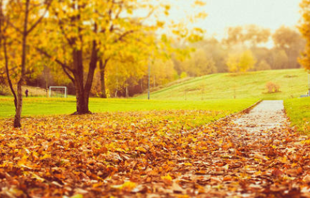 公立秋母立秋什么意思,俗话说立了秋把扇丢图6