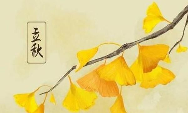 公立秋母立秋什么意思,俗话说立了秋把扇丢图1