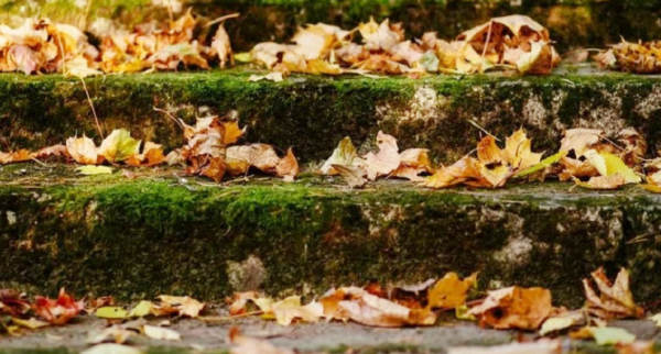 公立秋母立秋什么意思,俗话说立了秋把扇丢图5