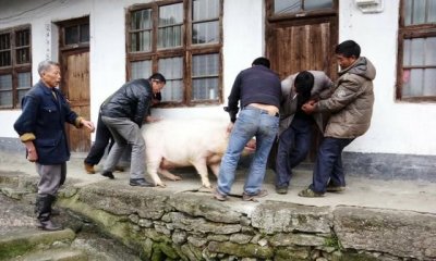 ​过年的风俗，你过年时的习俗有哪些？