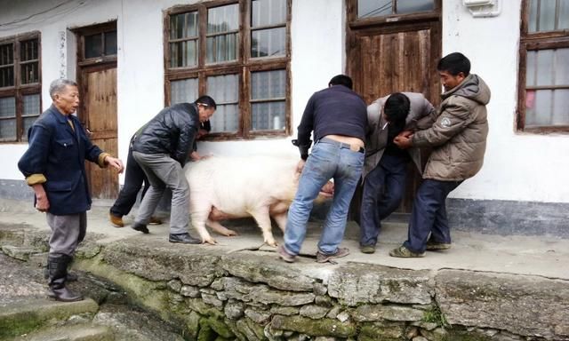 过年的风俗,你过年时的习俗有哪些?图1