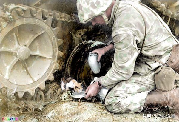 二战的转折点是什么战役(这几场战役决定了二战的战争走向)(5)