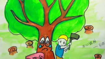 保护植物的标语,保护植物的标语有哪些图2