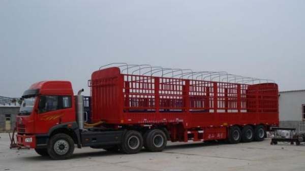 快递物流异常是什么情况,快递物流异常提醒是什么意思图4