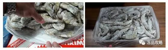 冰虾是怎么制成的(冷冻白虾加工过程详解)