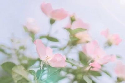 ​斯诺登事件怎么了斯诺登揭露了棱镜计划的什么