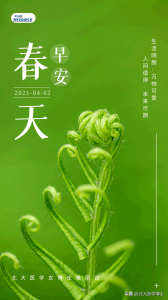 ​外阴长什么样