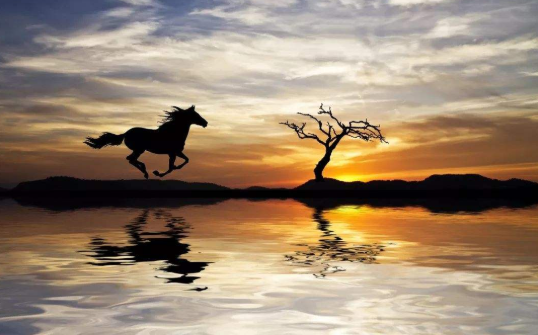 不负韶华上一句是什么,不负韶华的前一句是什么图3