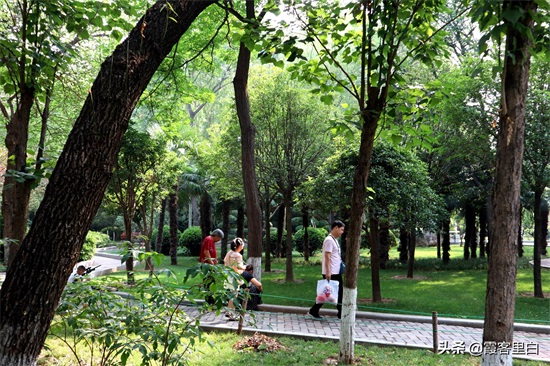 最憋屈的省会动物园，郑州人基本上都去过