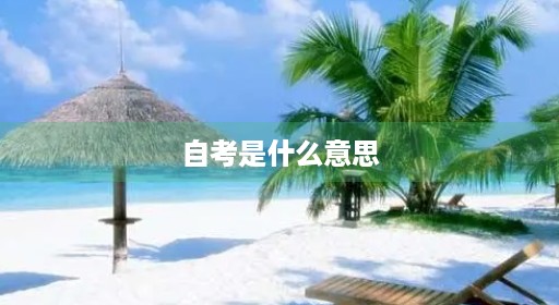 自考是什么意思