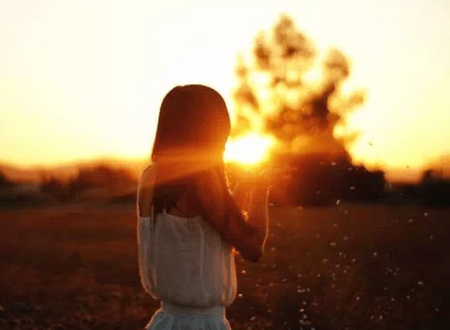 1691080801712606.png image.png