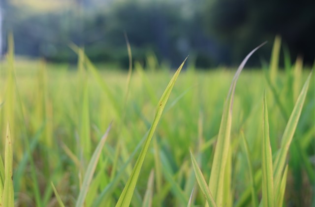 2023年幸福的QQ情侣网名(共408个) 2023年幸福的QQ情侣网名(共408个)