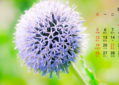 最新的早安心语