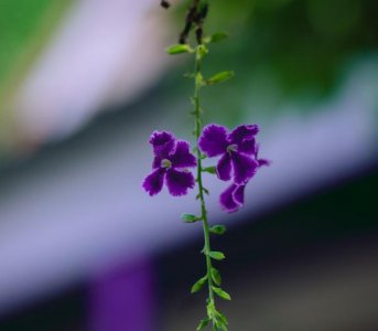 回顾2025展望2026文案