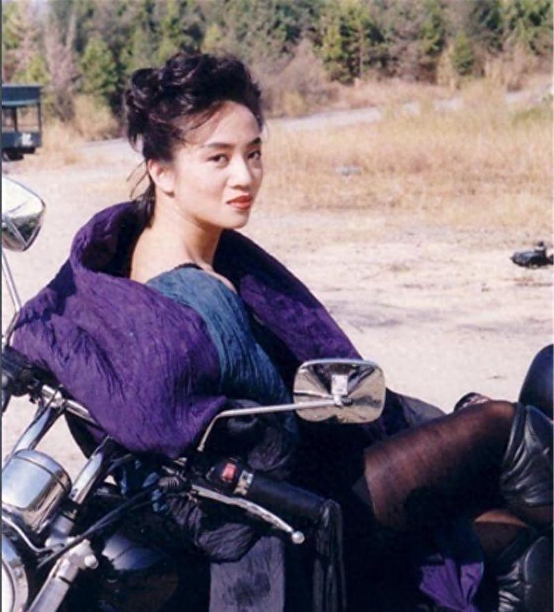 梅艳芳个人资料(梅艳芳的生平简介)-