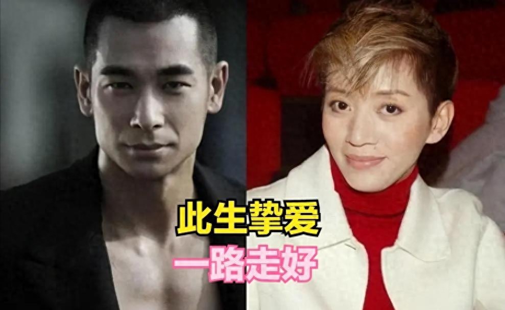 梅艳芳个人资料(梅艳芳的生平简介)-