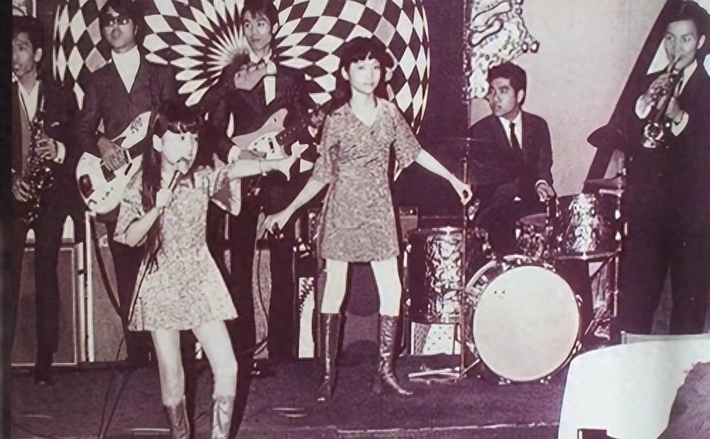 梅艳芳个人资料(梅艳芳的生平简介)-