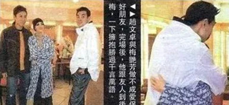 梅艳芳个人资料(梅艳芳的生平简介)-