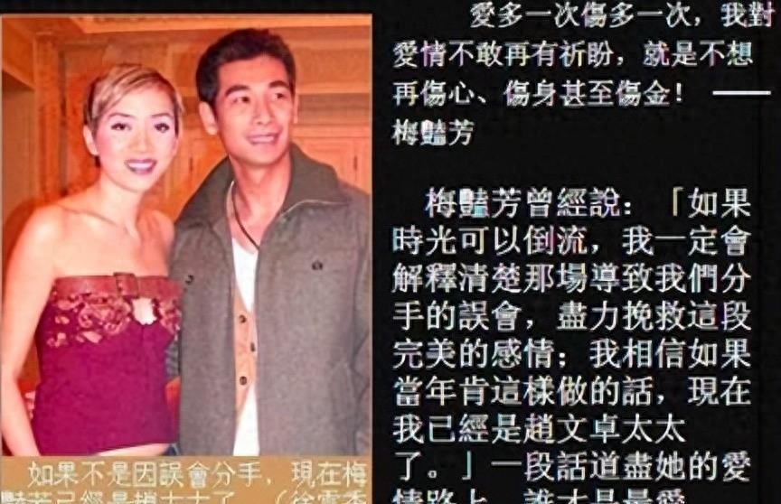 梅艳芳个人资料(梅艳芳的生平简介)-