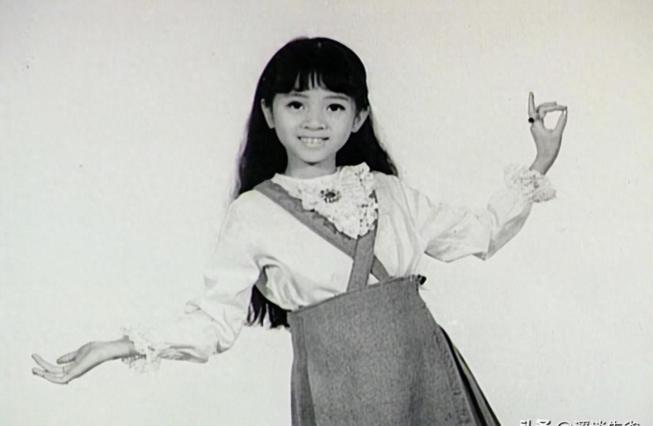 梅艳芳个人资料(梅艳芳的生平简介)-