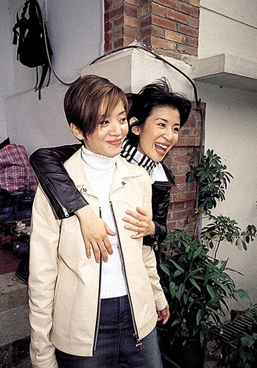 梅艳芳个人资料(梅艳芳的生平简介)-