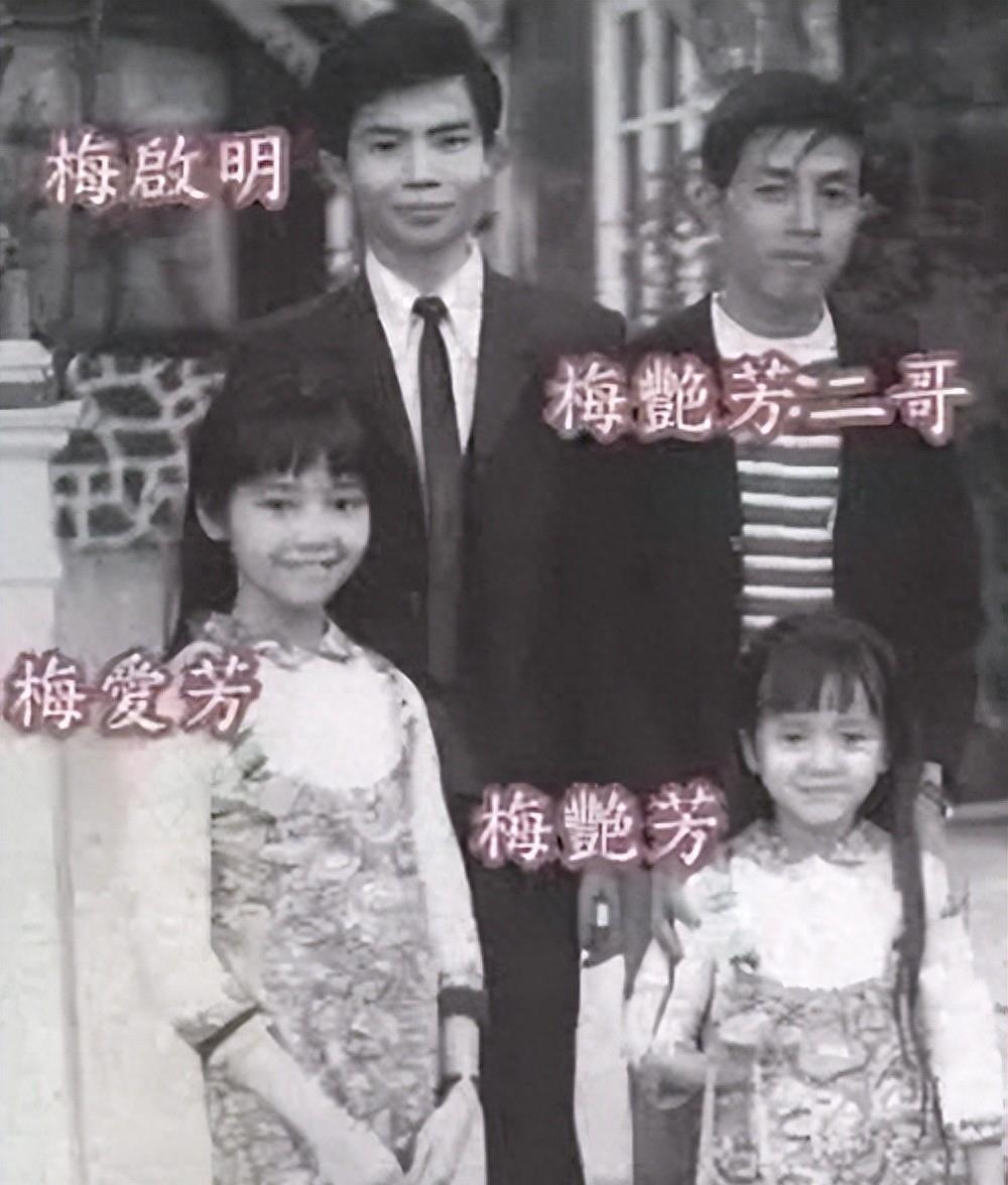 梅艳芳个人资料(梅艳芳的生平简介)-